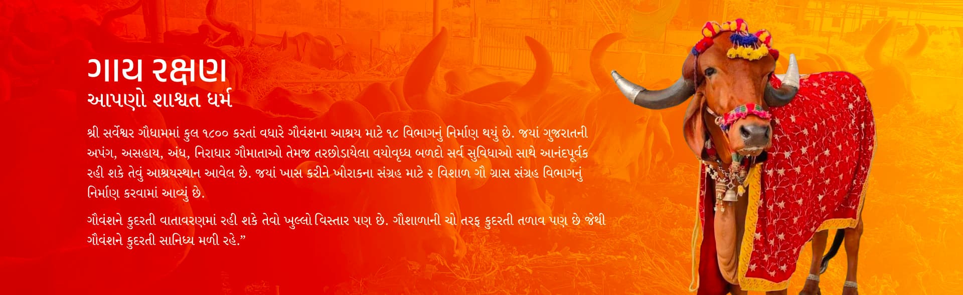 Background illustration